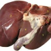 Orgánové maso (Vnitřnosti -játra, ledvinky, srdce, mozeček…)
