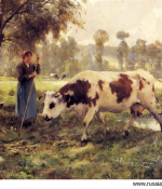 Rodinné krávy, malířky a malíři