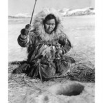 Eskymačka na Aljašce...jedí se ve světě údajně i tučňáci (asi slovo tuk pochází od lat. tucus antarcticus, což ej tučňák), dle FDA jde po odstranění jeho tuku o "zdravé" libové maso...