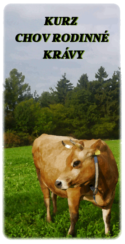 kurz image cow