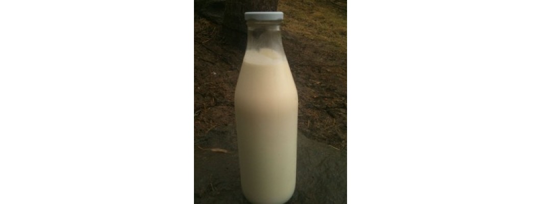 Syrové vs. pasterované mléko a konjugovaná kyselina linolová