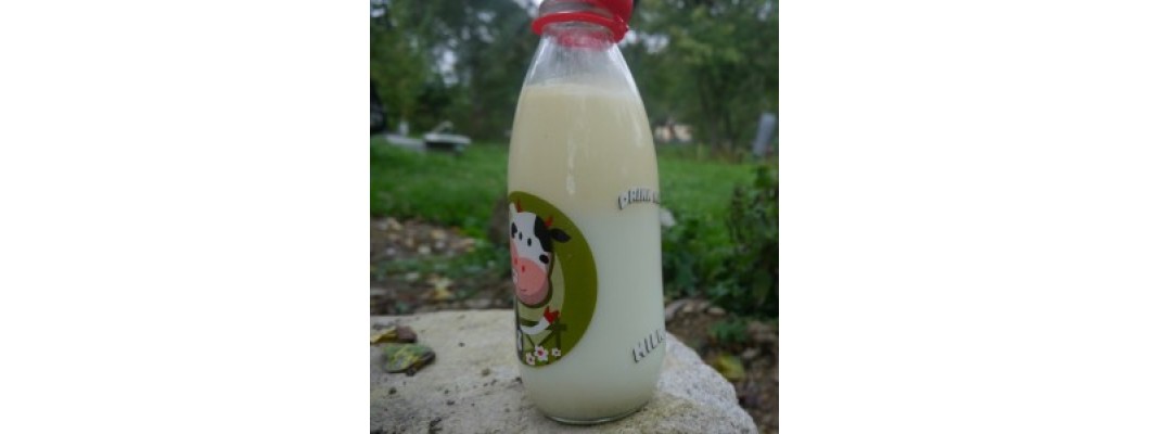 Opravdové* mléko: příběh trávy, sena a rodinných krav